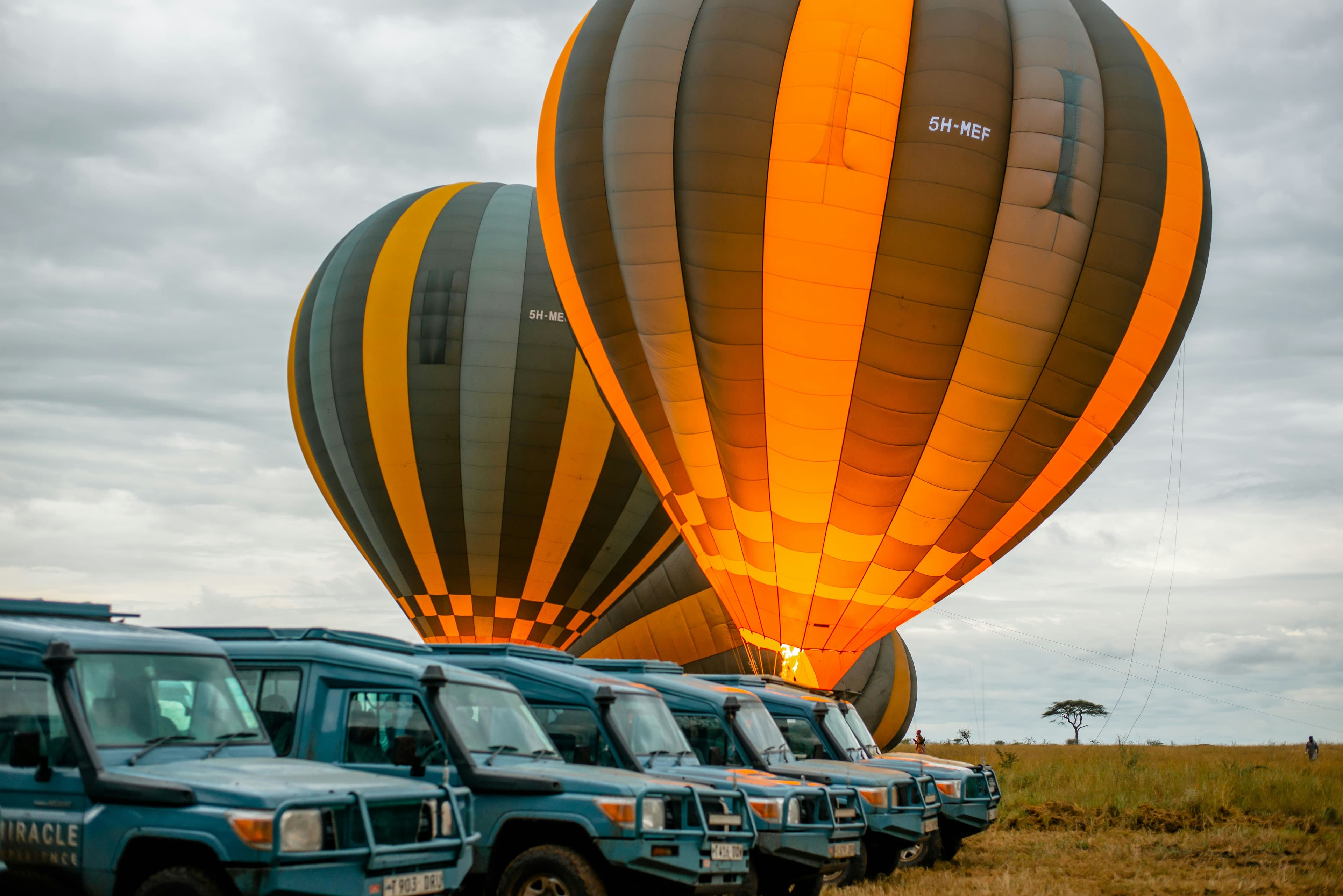 6 Days Serengeti Luxury Safari