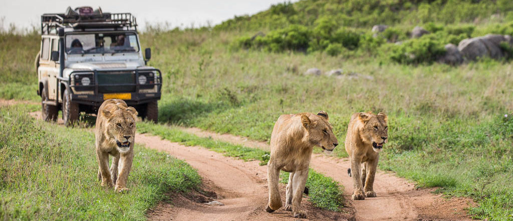 3 days group joining safari Tanzania